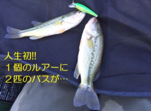 ⑮釣果２