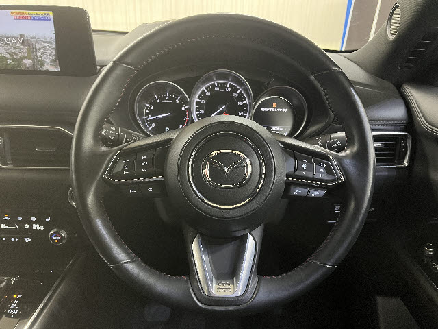 ＣＸ－８