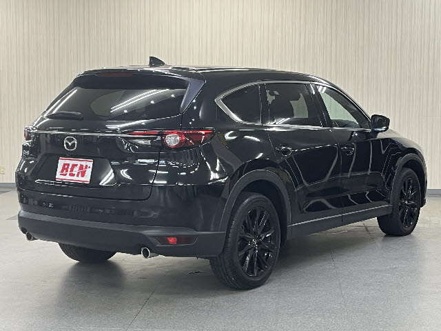 ＣＸ－８