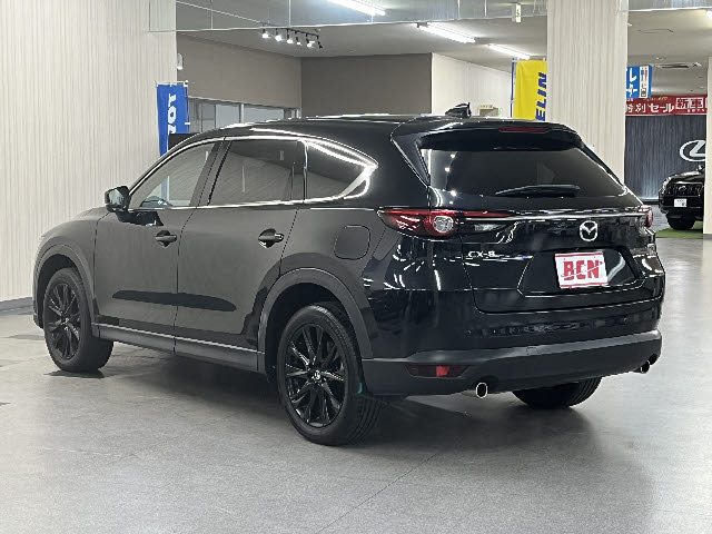 ＣＸ－８