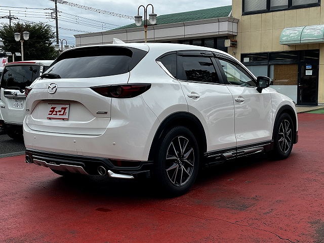 ＣＸ－５