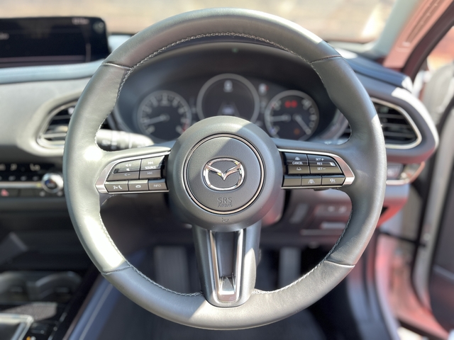 ＣＸ－３０