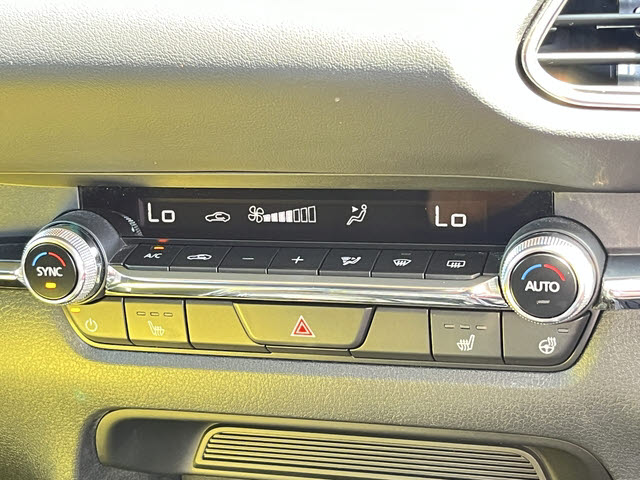 ＣＸ－３０