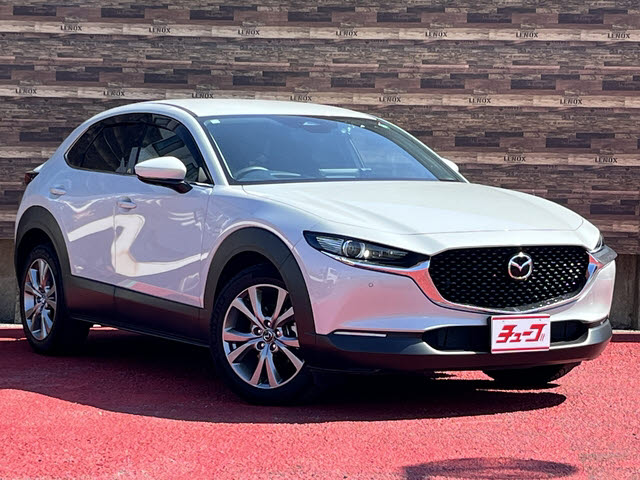 ＣＸ－３０