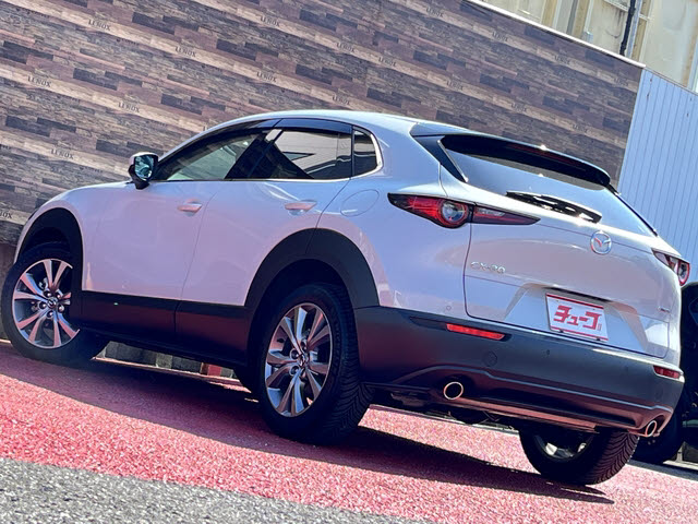 ＣＸ－３０