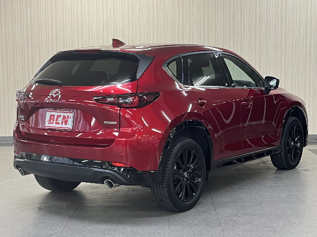 ＣＸ－５