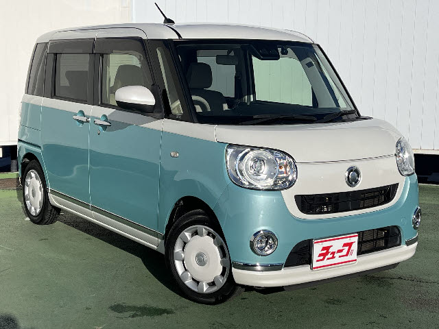 ムーヴキャンバス