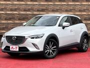 ＣＸ－３