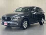 ＣＸ－５