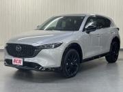 ＣＸ－５