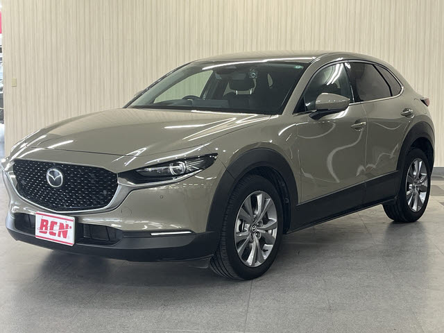 ＣＸ－３０