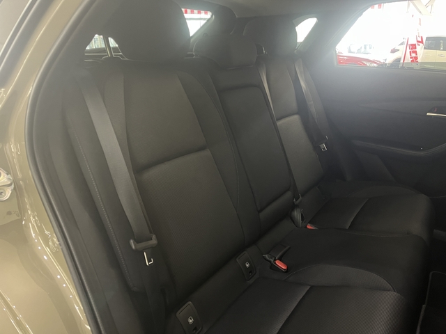 ＣＸ－３０