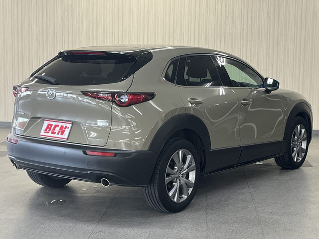 ＣＸ－３０