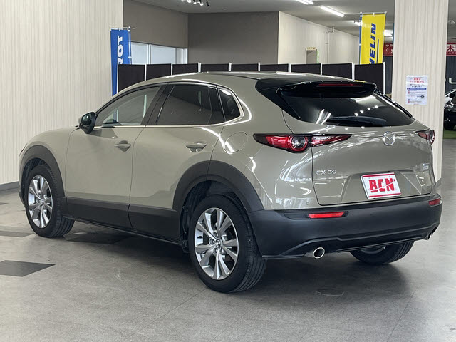 ＣＸ－３０