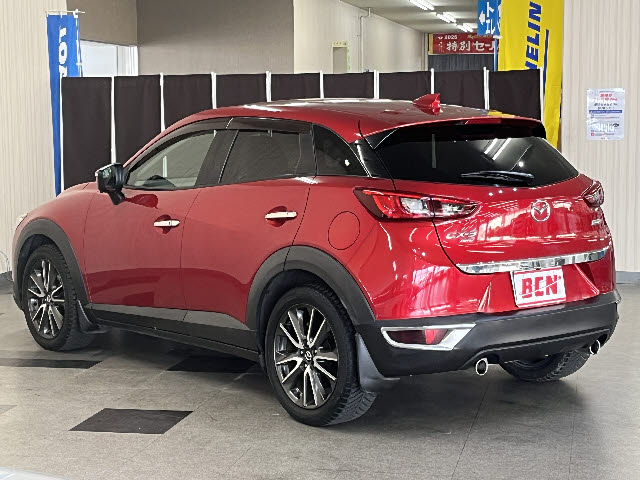 ＣＸ－３