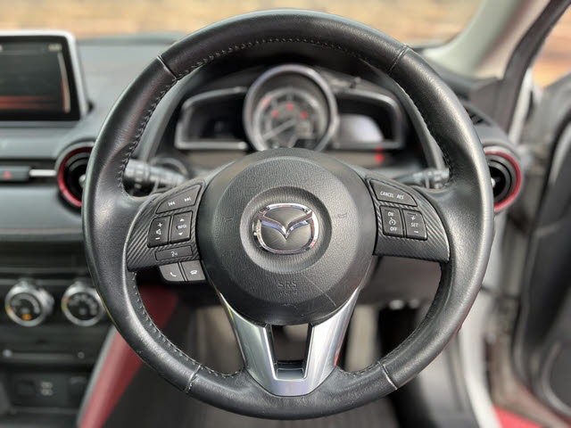 ＣＸ－３
