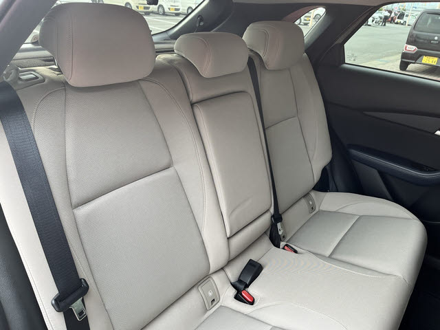 ＣＸ－３０