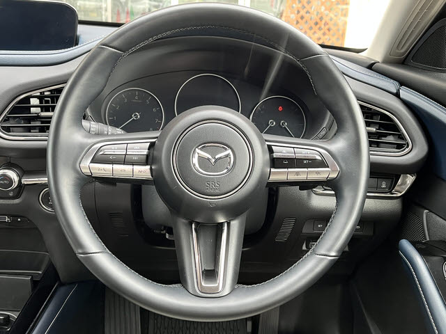 ＣＸ－３０