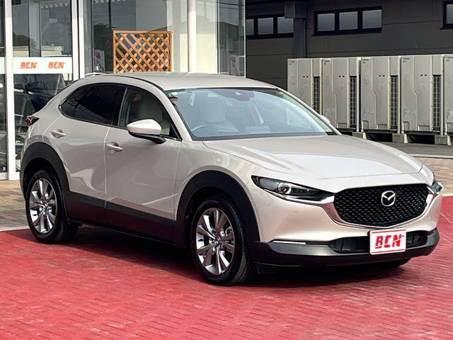 ＣＸ－３０