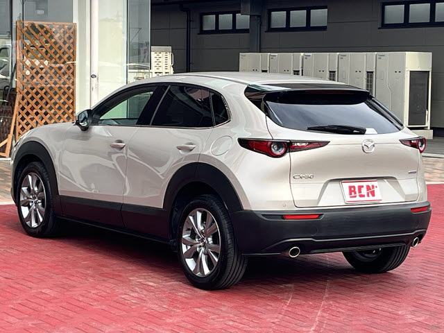 ＣＸ－３０
