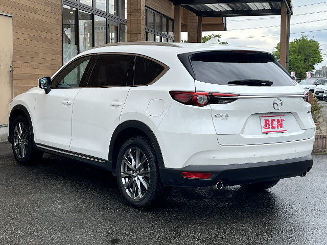 ＣＸ－８