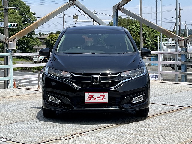 フィット