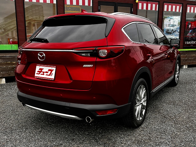 ＣＸ－８