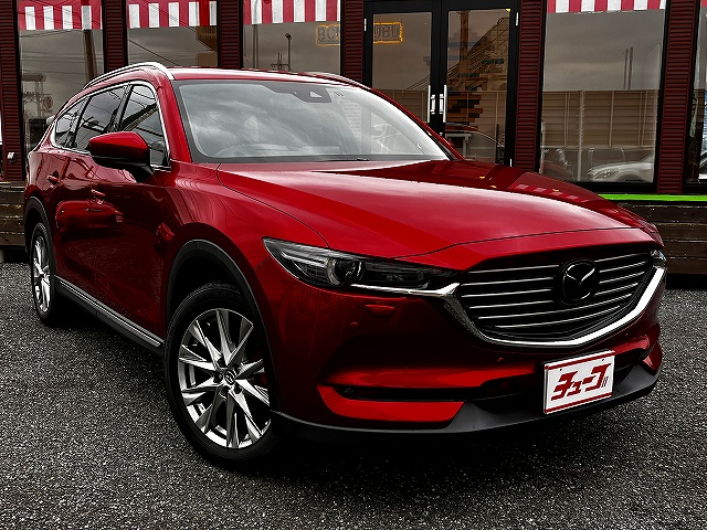 ＣＸ－８