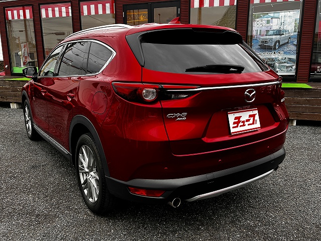 ＣＸ－８