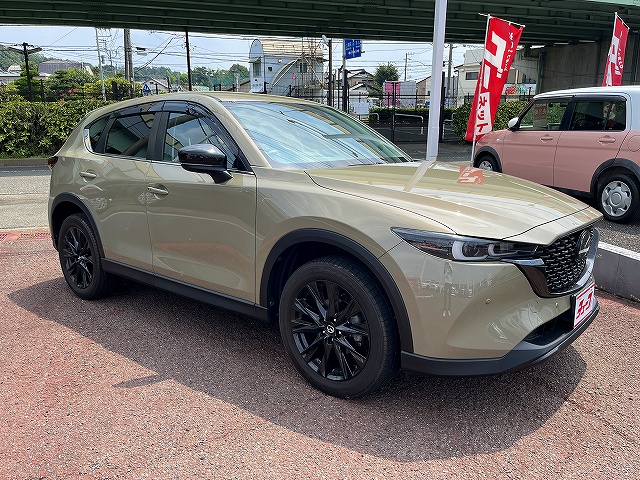 ＣＸ－５