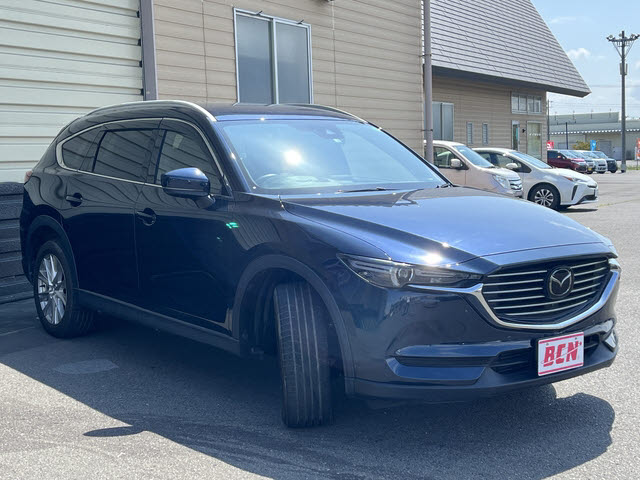 ＣＸ－８