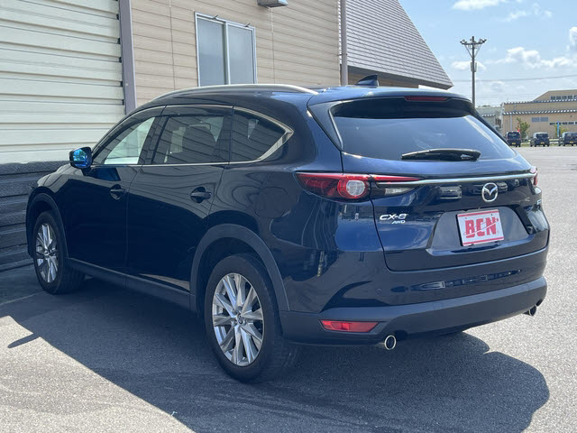 ＣＸ－８
