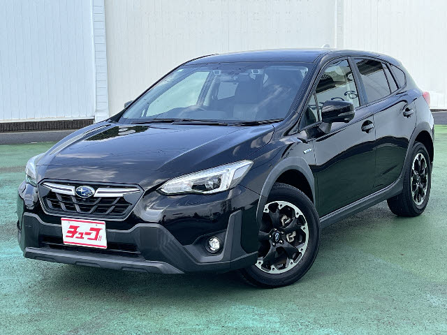 ＸＶ