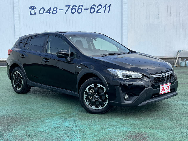 ＸＶ