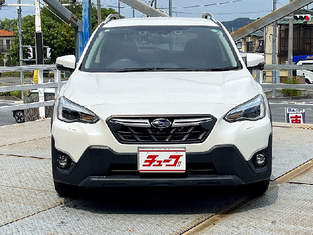 ＸＶ