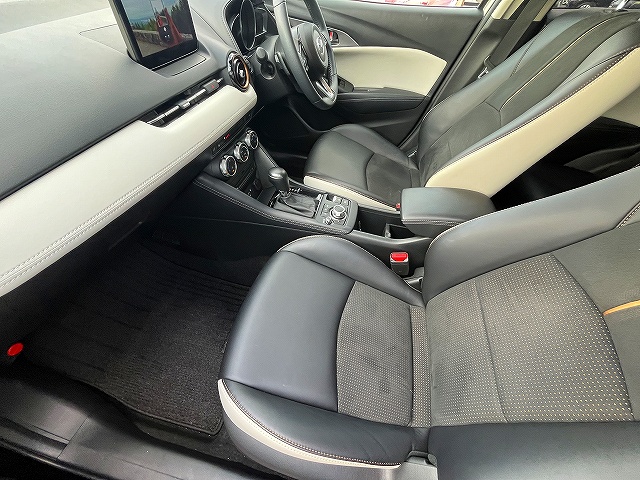 ＣＸ－３