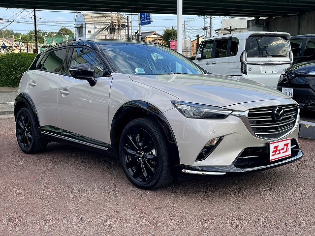 ＣＸ－３