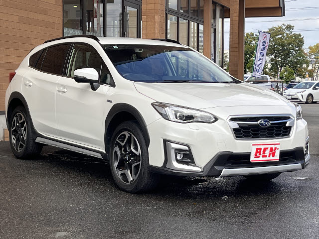 ＸＶ