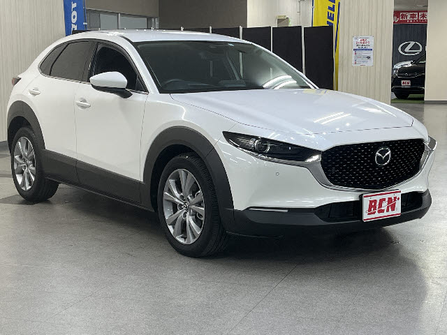 CX-30