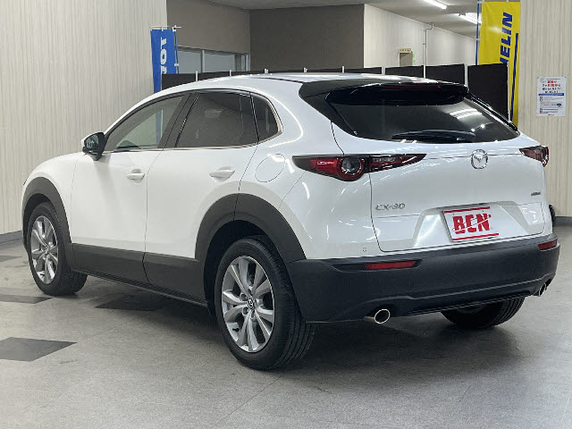 CX-30