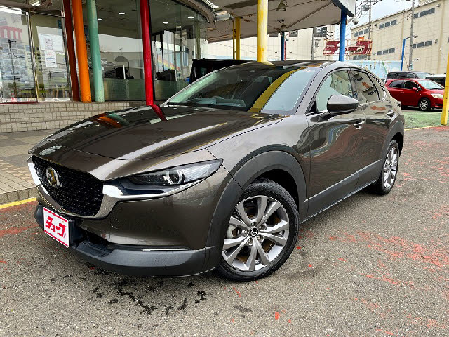 ＣＸ－３０