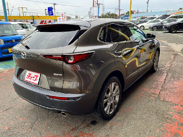 ＣＸ－３０