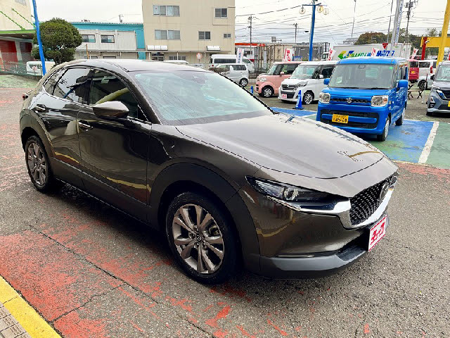 ＣＸ－３０