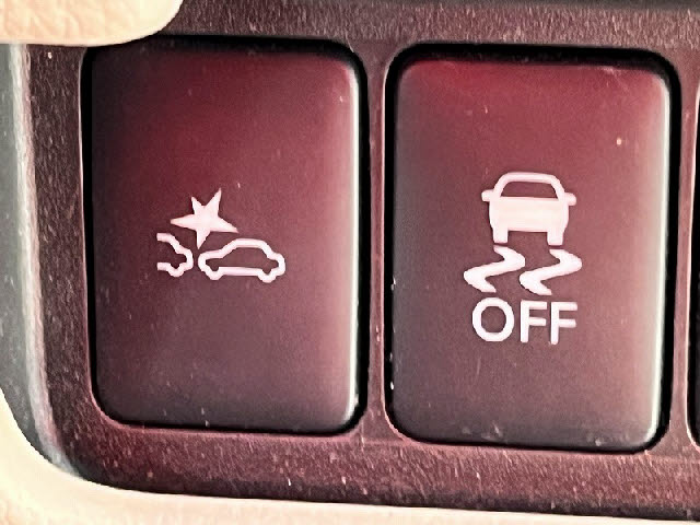 デイズルークス