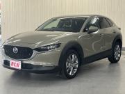 ＣＸ－３０…
