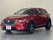ＣＸ－３