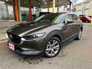 ＣＸ－３０