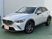 ＣＸ－３